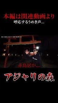 【イヤホン必須】アジャリの森に彷徨う男性のうめき声？ #恐怖 #怪現象 #心霊スポット #心霊 #ホラー #shorts