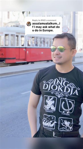 Perjalanan Kerjaya Jurutera Perisian di Vienna