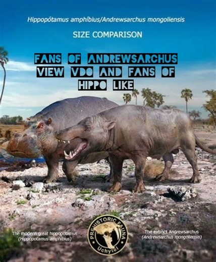 understanding fans of andrewsarchus and hippopotamus #animals #prehistoric
