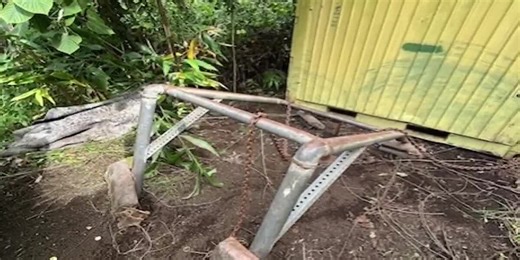 Equipment taken, crops destroyed: Thieves rob Hawaii Island non-profit farm