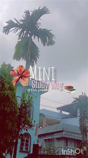 MINI STUDY VLOG*3HRS CONTINOUSLY * #studentlife #study