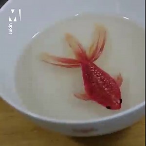 There's definitely something fishy about this.... | Metro