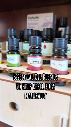 Bug season is here… but we’re not doing chemicals 🌿 Try these essential oil blends to keep pests away naturally: 🦟 Mosquitoes: citronella eucalyptus lemon 🐜 Ants: peppermint lemon 🪰 Flies: peppermint rosemary 🕷️ Spiders: fir lavender Diffuse it, spray it, or dilute with a carrier oil for skin ✨ Which one are you trying first? #naturalremedies #essentialoils #holisticliving #toxinfree #bugrepellent