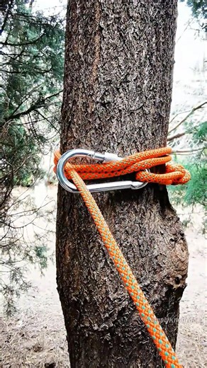 Why elite campers always carry a carabiner for tree anchors! 🌲⚙️