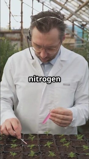 Mulch Magic Choosing the Best for Your Garden