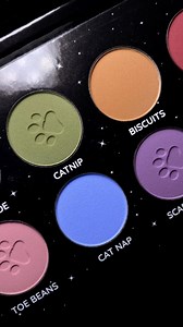 4.3K views · 121 reactions | We’ve unlocked a new level of crazy cat lady  Tag a crazy cat lady/gentleman  | Black Moon Cosmetics | Facebook