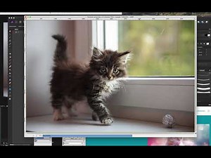 Réduire une image à la bonne taille sur un site Internet