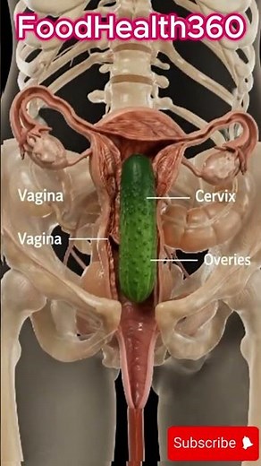 Anatomy Deep Dive: Most People Don’t Know This About the Cervix (3D Animation) #shorts