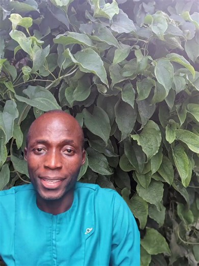 #wealth #investment #money get started with investing as soon as possible.