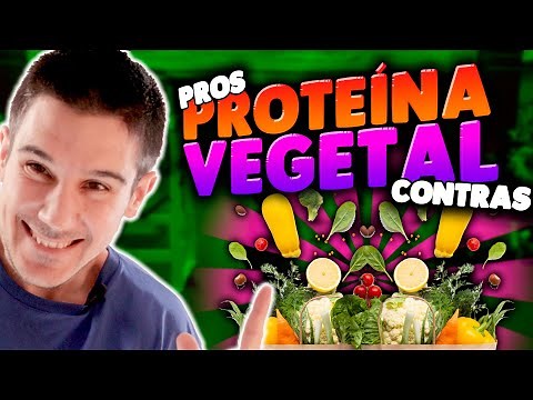 VEGETABLE PROTEIN ✅ Pros ❌ Cons 🧆 Best Sources