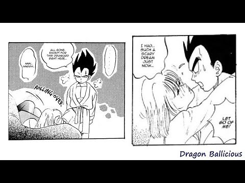After the Party || Vegeta x Bulma Doujinshi