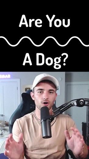 Did you hear them all? #dog #hearing #test