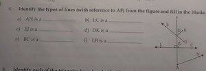 Identify the types of lines (with reference to AF ) from the fi... | Filo