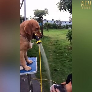 1.6M views · 11 shares | BETA Music on Reels | Facebook