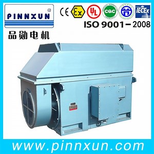 [Hot Item] 500 Kw Squirrel Cage Asynchronous Motor