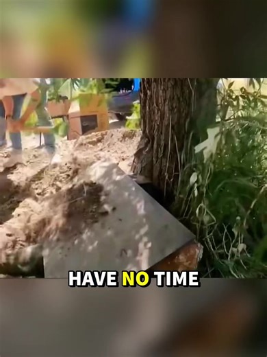 Amazing variety show on the internet: Hide-and-seek #movie #foryou #Sharingwithyou #fyppppppppppppppppp