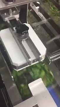 Fully Automatic Clamshell Salad Packaging Machine