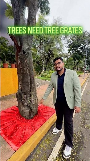 How Footpaths Protect Trees