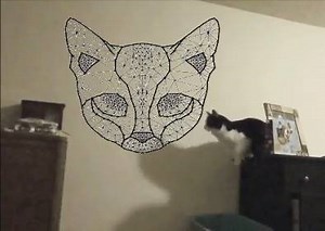 Chat calcule le saut parfait. | Montreux Comedy