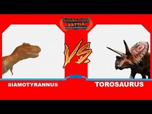 my description of DBWC s2 1st to 16th battle