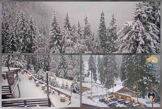 Webcam Cabana Postavaru Poiana Brasov