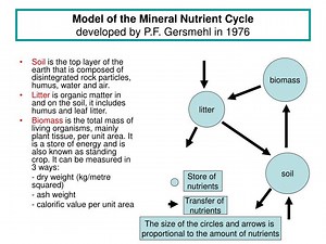 Model of the Mineral Nutrient Cycle developed by P.F. Gersmehl in 1976 - SlideServe