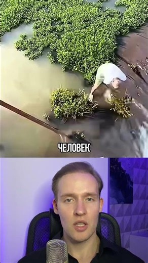 Dangerous Job You've Never Heard Of 🤯 #shorts