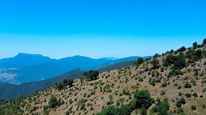 Free video - Mountains, Trees, Forest, Nature