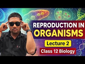 Reproduction in Organisms – Lecture 2 | Class 12 Biology | Asexual Reproduction | Sapbiology