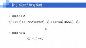 3-18粒子群优化tsp问题（试看版）