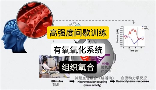 高强度间歇训练有氧氧化系统-组织氧合