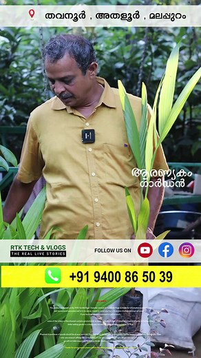 5.8K views · 21 reactions | coconut plant,how to plant coconut tree,how to plant coconut tree at home,how to grow coconut plant at home,coconut plantation,coconut planting method,how to grow coconut plant,how to plant coconut palm,planting coconut,how to plant coconut seedlings,coconut,coconut tree planting,coconut plant growing,coconut planting,how to plant coconut seed,coconut planting distance,plants,how to grow coconut tree,coconut tree,coconut tree plantation | RTK Tech&Vlogs | Facebook