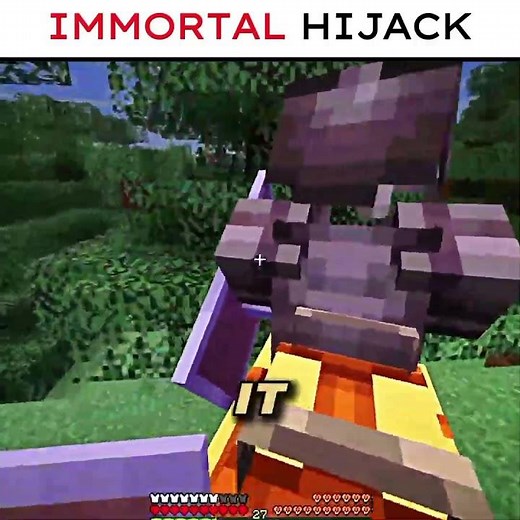 FlameFrags Hijacks Warrior #minecraft #unstablesmp #flamefrags