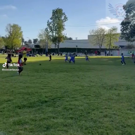 Los Angeles Soccer Academy: Training Young Talents