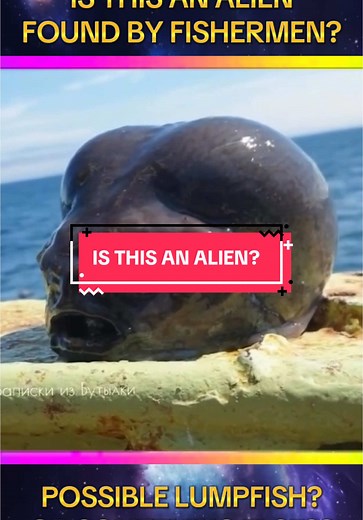 Uncovering the Mystery: Alien Discovery by Fishermen