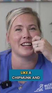 Why I Put Dog Treats in My Mouth