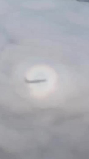 86K views · 257 reactions | This pilot spotted a “glory phenomenon” - here’s what it is. #cloud #pilot #flying #weather #wow #video | The Weather Channel | Facebook