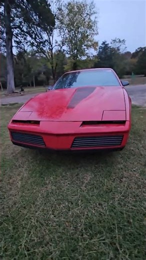 1983 fire bird / trans am