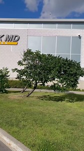 Blurry vision after 50? It’s likely presbyopia—a natural part of aging. RLE can reduce your need for reading glasses or contacts, helping you see at all distances. Book your FREE consult. https://www.lasikmd.com/book-online - Vous avez une vision trouble après 50 ans? Elle peut être causée par la presbytie, un phénomène naturel lié au vieillissement. L’ÉLR peut réduire votre dépendance aux verres de contact et aux lunettes de lecture en vous aidant à voir à toutes les distances. Réservez votre c