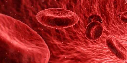 What’s the difference between O-positive and O-negative blood types?