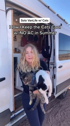 Van Life, Cats & No AC: here’s how I keep my cats cool in the summer without any AC. Lmk if you have any questions! #solovanlife #vanlifecat #adventurecat #vanlifepetsSolo Van LifeVan Life CatVan Life SummerAdventure Cat | Quin Gable