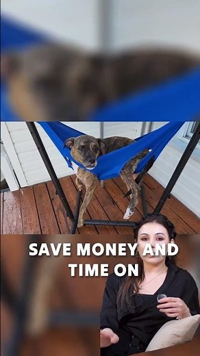 Ultimate Cat Grooming Hammock & Dog Harness for Easy Nail Trimming | Perfect for Small Pets