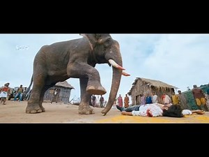 Elephant Is Waking Up Yash To Hit Rowdies Super Scene | Gajakesari Kannada Movie