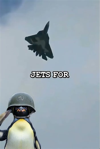 Venezuela’s Fighter Jets: Grounded by Reality