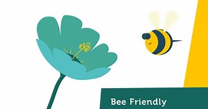 “We need to be willing to invite nature back into our gardens” - Anne Goggin deals with policy around environmental issues for Limerick City and County Council 🐝🐝 ‪#OurCouncilOurStories‬ is a new video campaign by Marketing & Communications in Limerick City and County Council, celebrating the dedicated and diverse work of the organisation’s employees | Limerick.ie