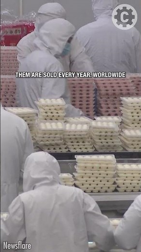 China's food revolution: Inside the factory feeding millions