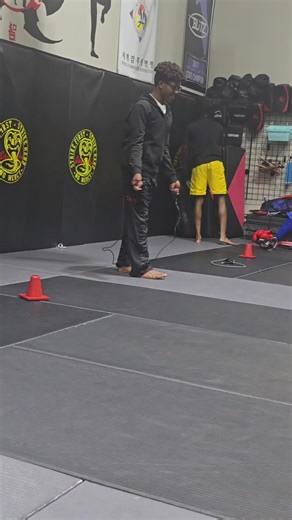 Karate Training Tips: Mastering the Dojo