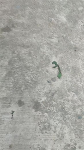 R'MOVES.1999 (@rhiareyes5)’s videos with original sound - R'MOVES.1999