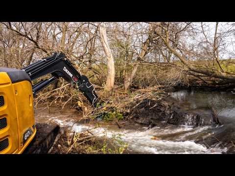 We Found A Huge Beaver Dam Blocking Water!