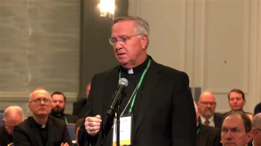 Check out the video clip of Bishop Dolan speaking on mental health at the USCCB Fall Plenary Assembly in Baltimore. This was part of a discussion on mental health and the campaign that was launched by the USCCB in October. | Diocese of Phoenix